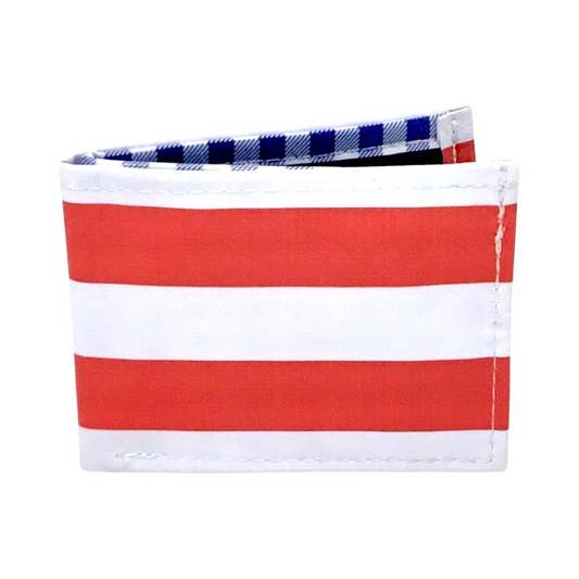 Cartera Santiago